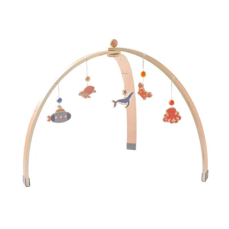 Play gym