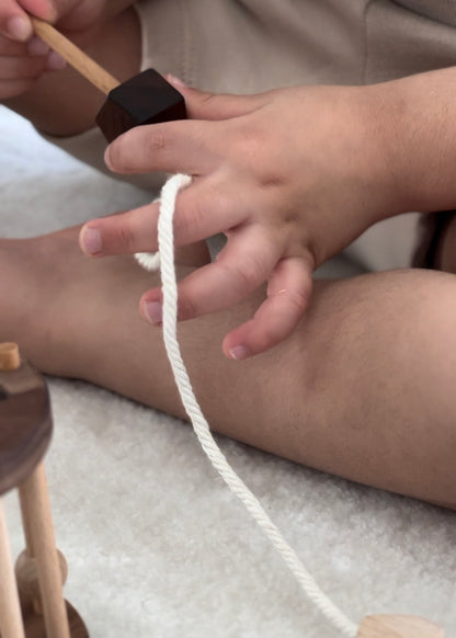 Wooden rattle puzzle