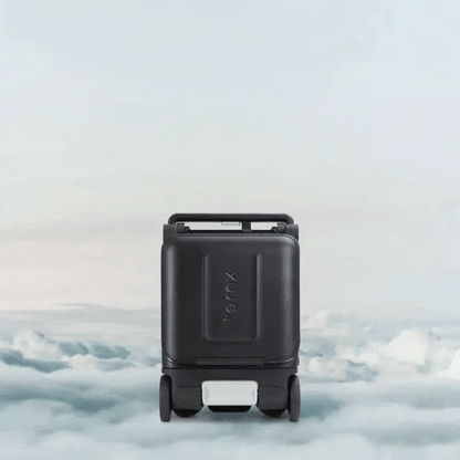 TernX Carry On Luggage Stroller